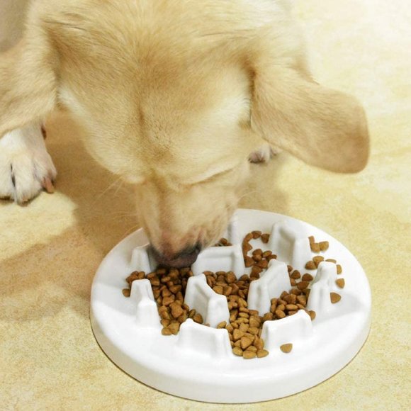 Puppy Eating Dish Bowl Tableware - Picture 3 of 5